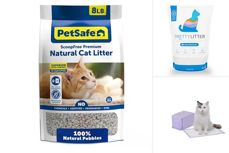 Detailed view of Best No-Moisture Litters