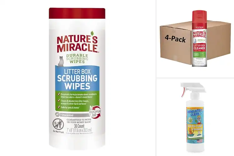 Detailed view of Best No Scrub Litter Box Cleaners