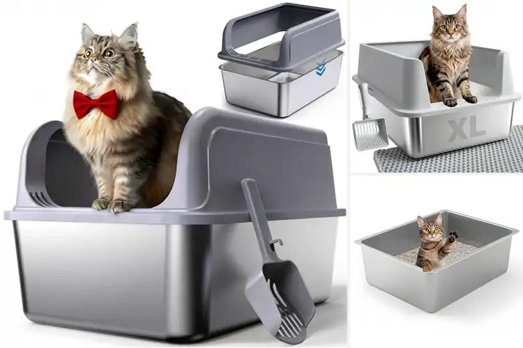 Detailed view of Best No-Stick Litter Boxes: Top 10 Easy-Clean, Durable Picks