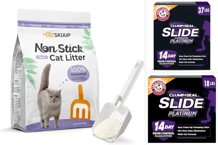Detailed view of Best Non-Stick Cat Litter: Top 5 Odor-Free Clumping Choices