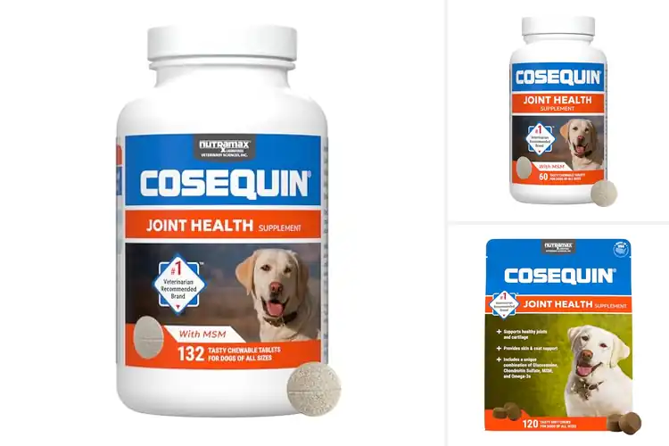 Detailed view of Best Nutramax Cosequin For Dogs Joint Health