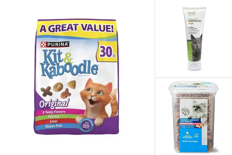 Detailed view of Best Nutrition For Adult Cats