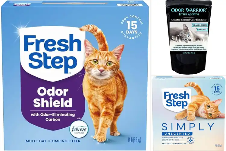 Detailed view of Best Odor Blocking Litter With Activated Charcoal