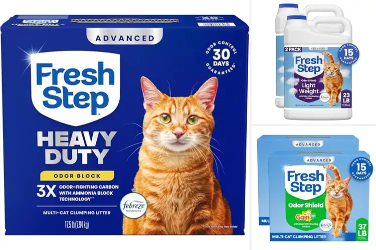 Detailed view of Best Odor Blocking Litters for a Fresher Home