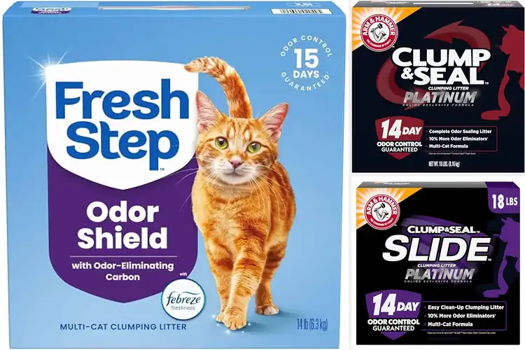 Detailed view of Best Odor Control Cat Litter Clumping