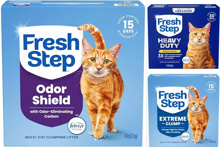 Detailed view of Best Odor Control Cat Litter For Multi Cat