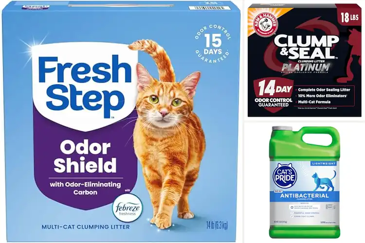 Detailed view of Best Odor Control Cat Litter: Top 10 Picks for a Fresh Home