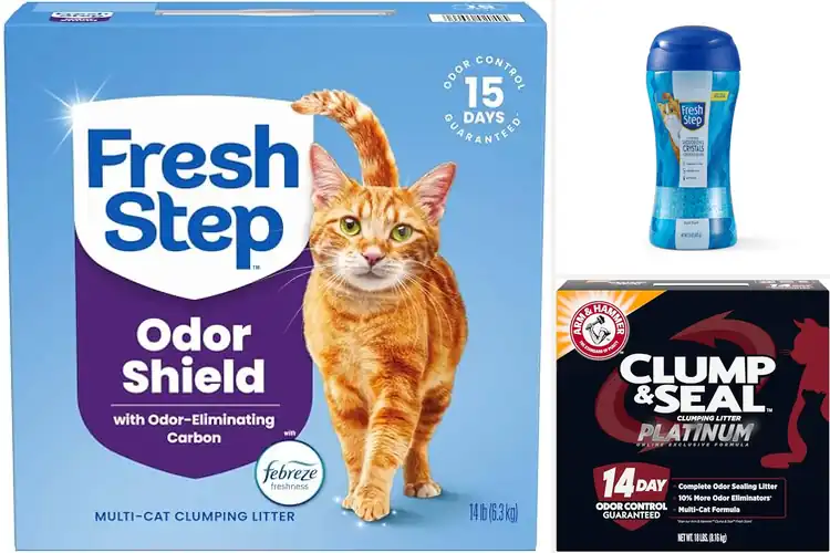 Detailed view of Best Odor Control Cat Litters for a Fresh, Clean Home