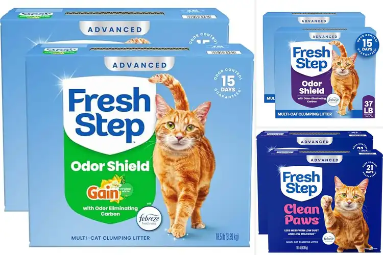Detailed view of Best Odor Control Cat Litters With Febreze