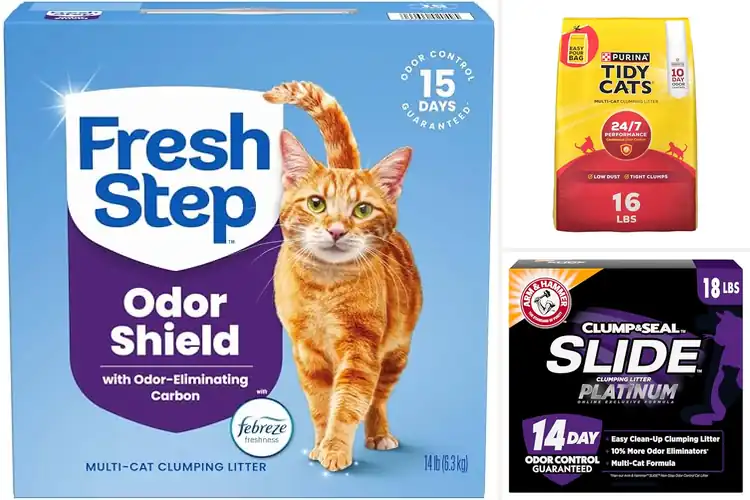 Detailed view of Best Odor Control Clumping Litters