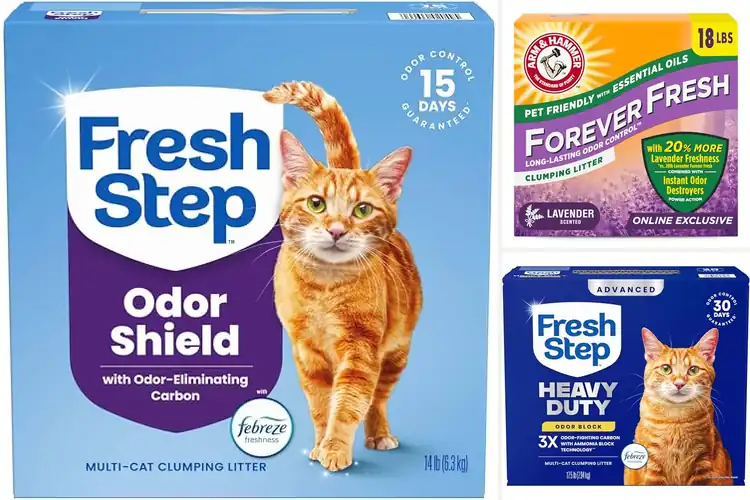 Detailed view of Best Odor Control For Multi-Cat Litter