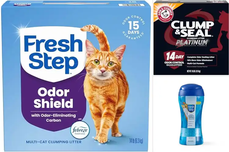 Detailed view of Best Odor Control Litter For Multi Cat Homes