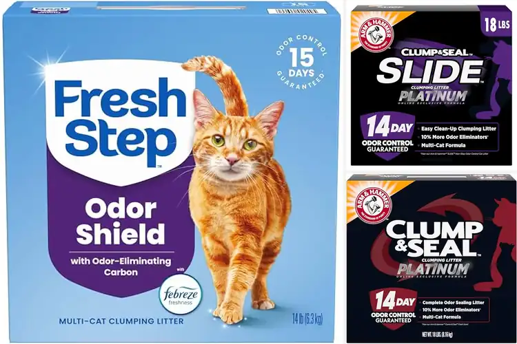 Detailed view of Best Odor Control Litter: Top 10 Picks for a Fresh Home