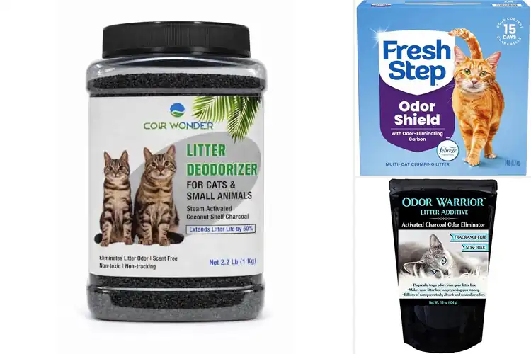 Detailed view of Best Odor Control Litter With Activated Charcoal