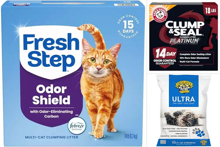 Detailed view of Best Odor Controlling Cat Litter