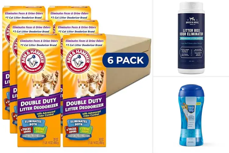 Detailed view of Best Odor Eliminator Cat Litters