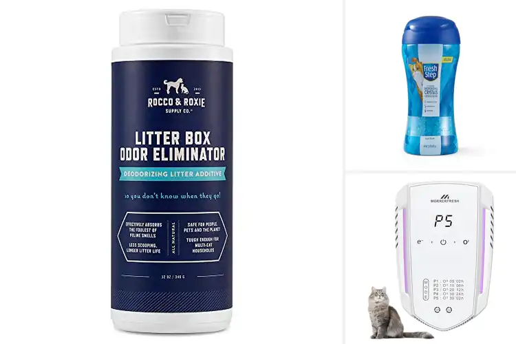 Detailed view of Best Odor Eliminator Litters: Keep Your Home Fresh & Clean
