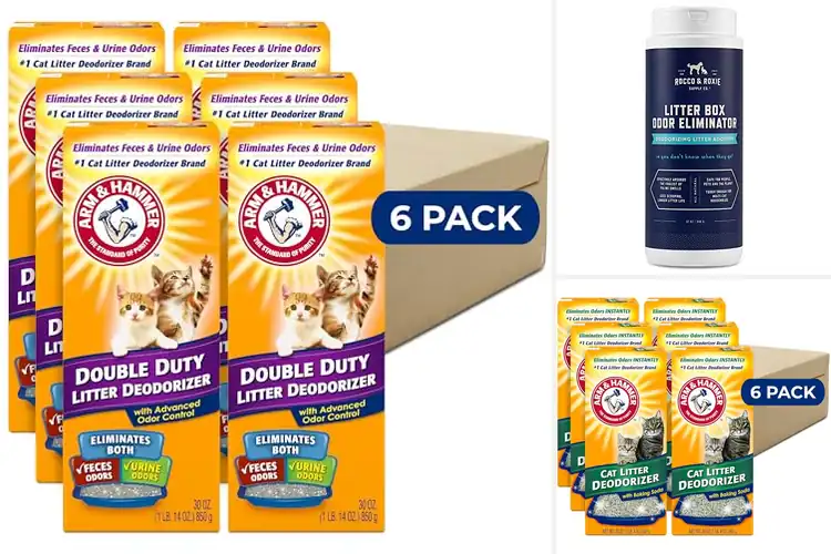 Detailed view of Best Odor Eliminators For Multi Cat Litter