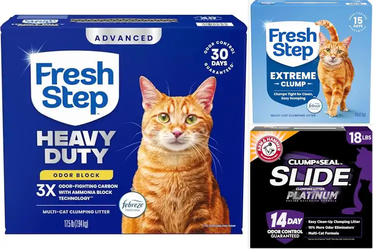 Detailed view of Best Odor-Fighting Cat Litters: Keep Your Home Fresh & Clean