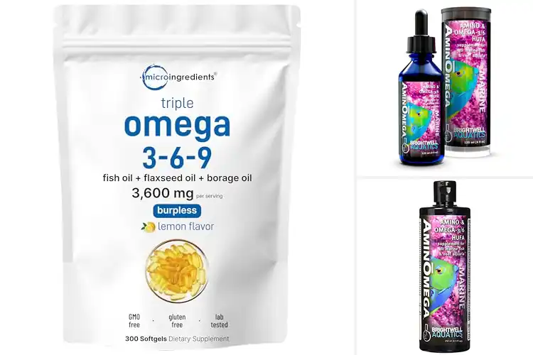 Detailed view of Best Omega 3 6 Enrichment: Top Picks for Vitality Boost
