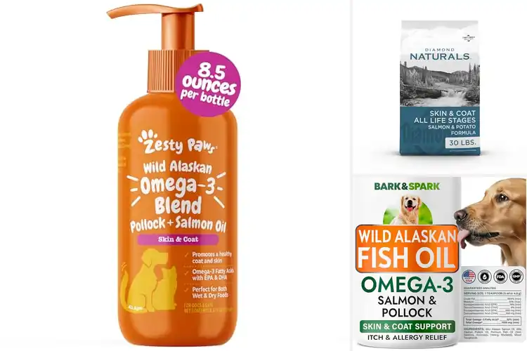 Detailed view of Best Omega Rich Dog Foods: Top 10 Picks for a Healthy Coat