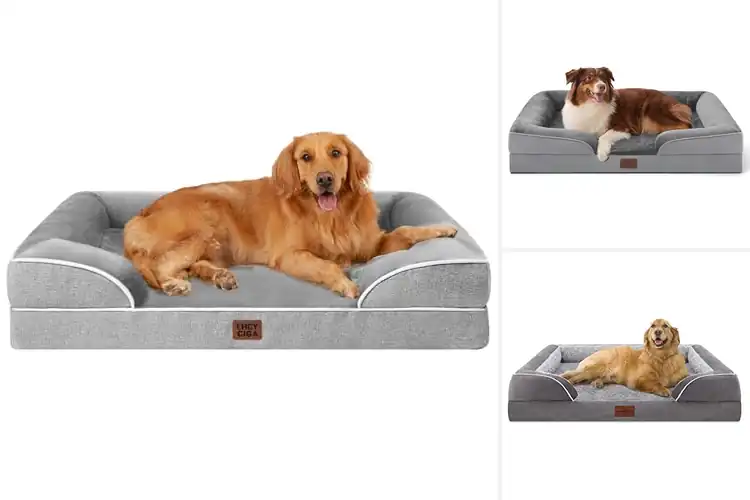 Detailed view of Best Orthopedic Dog Beds
