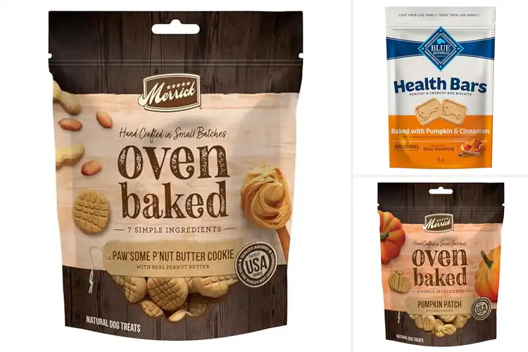 Detailed view of Best Oven Baked Dog Biscuits: Happy, Healthy Treats