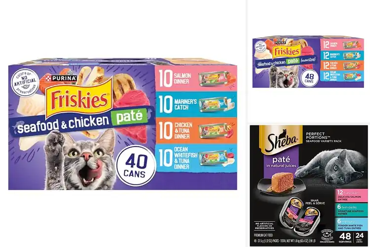 Detailed view of Best Pate Cat Foods: Top 10 Picks to Delight Your Feline