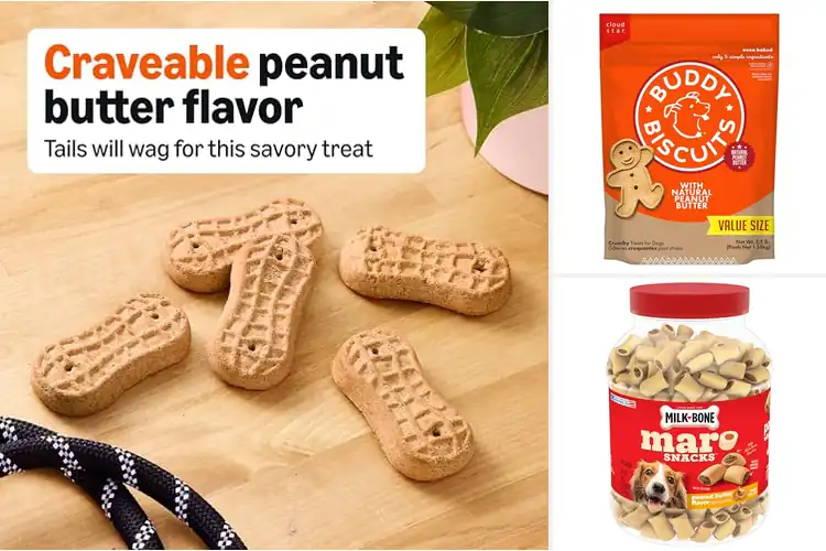 Detailed view of Best Peanut Butter Dog Treats
