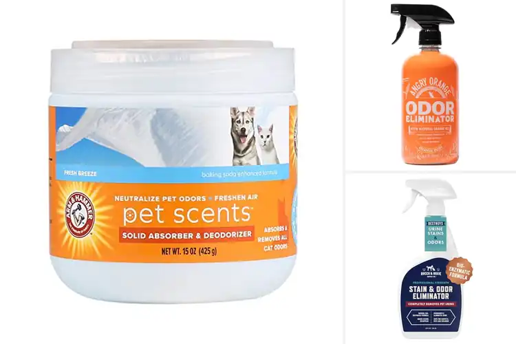Detailed view of Best Pet Odor Eliminators: Top 10 Fresh Home Solutions