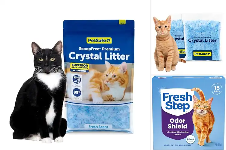 Detailed view of Best Pet Safe Litter For Multi Cats