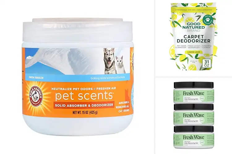 Detailed view of Best Pet Safe Odor Eliminators For Homes