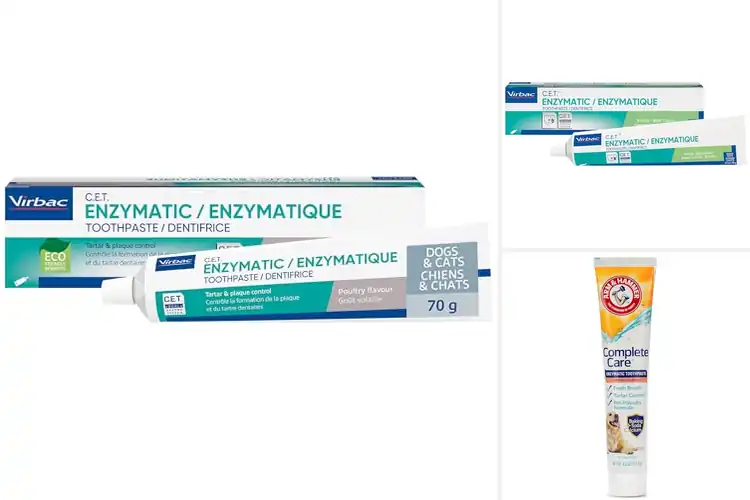 Detailed view of Best Pet Toothpastes: Top 10 Picks for Healthy Pet Smiles