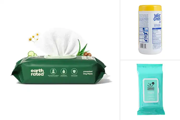 Detailed view of Best Pet Wipes For Paws: Gentle, Safe, and Fresh Paws Daily