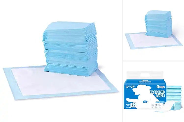 Detailed view of Best Potty Pads