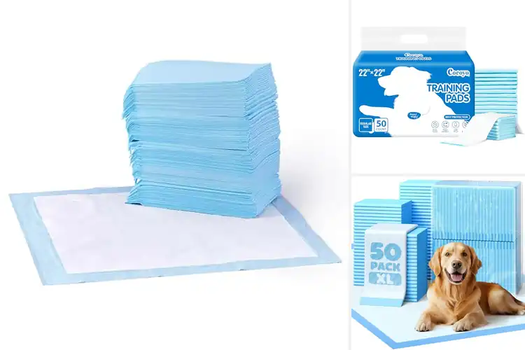 Detailed view of Best Potty Training Pads For Dogs