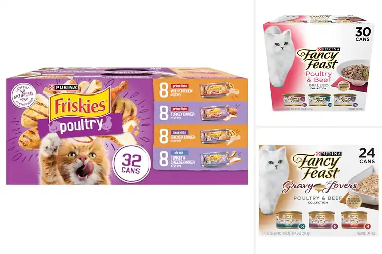Detailed view of Best Poultry Cat Foods