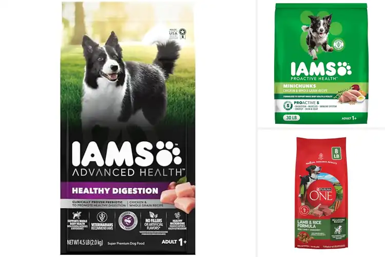Detailed view of Best Prebiotic Dog Foods for Happier, Healthier Guts