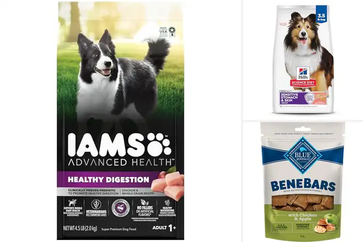 Detailed view of Best Prebiotic Fiber Dog Foods for Gentle Digestion