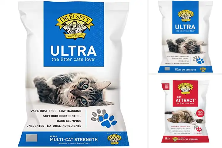 Detailed view of Best Premium Cat Litters