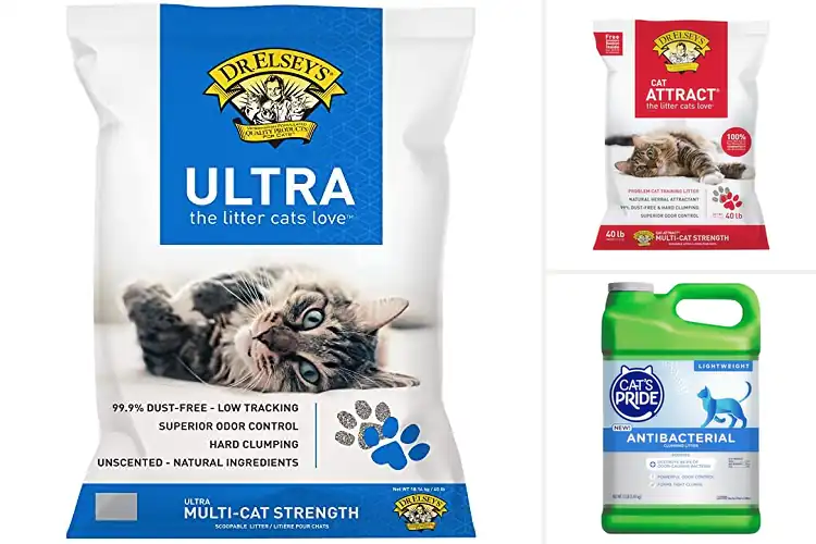Detailed view of Best Premium Clumping Litter Quality