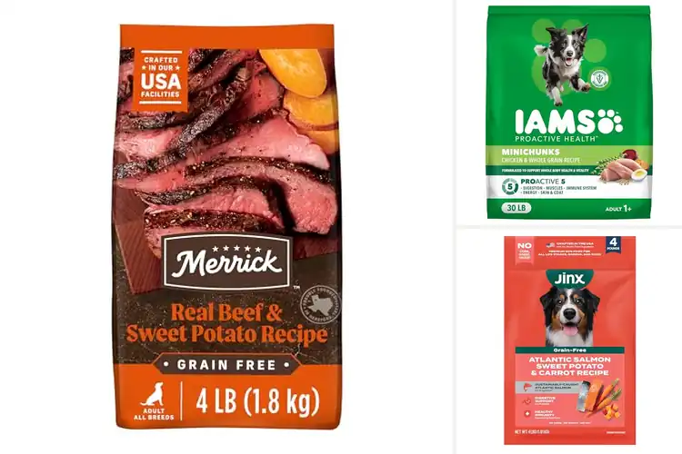 Detailed view of Best Premium Dry Dog Foods