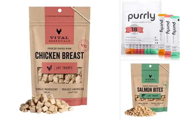 Detailed view of Best Preservative Free Cat Treats