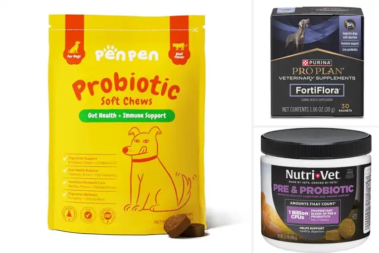 Detailed view of Best Probiotics For Dog Digestion