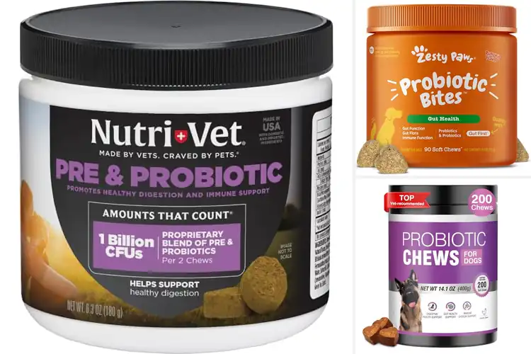 Detailed view of Best Probiotics For Dogs Digestive Support