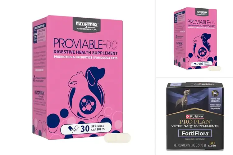 Detailed view of Best Probiotics for Pets: Top 10 Picks for Optimal Health