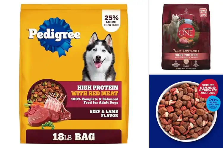 Detailed view of Best Protein Dog Foods: Top Picks for a Healthy, Happy Pup
