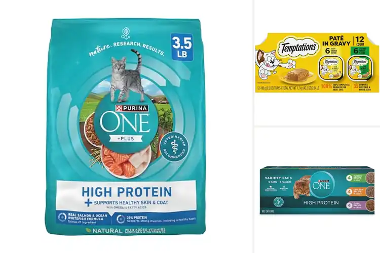 Detailed view of Best Protein For Strong Muscles In Cats