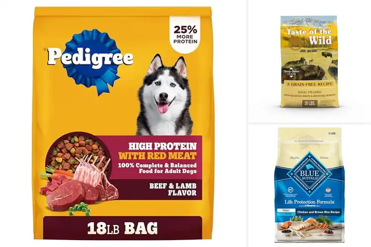 Detailed view of Best Protein Rich Dog Food