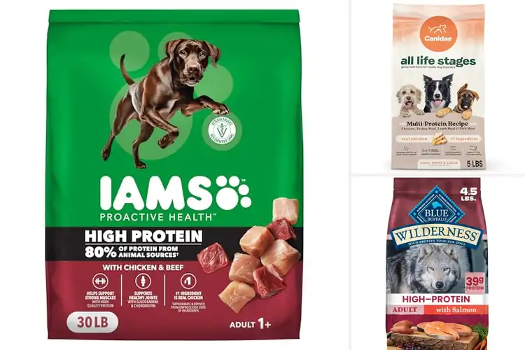 Detailed view of Best Protein Rich Dog Foods: Top 10 Picks for Optimal Health